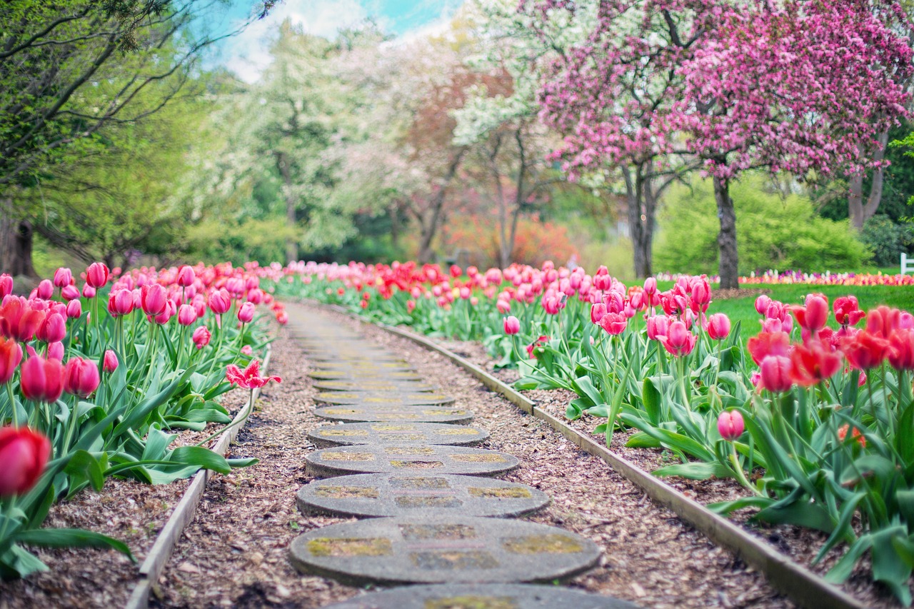 How to Create a Garden that Blooms Year-Round